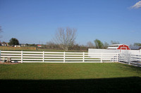 backyard (4)