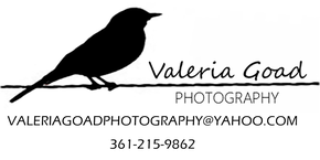 Valeria Goad Photography